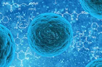 云顶集团·(中国)手机版app下载